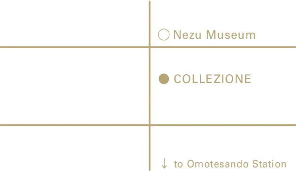 COMOLI SHOP